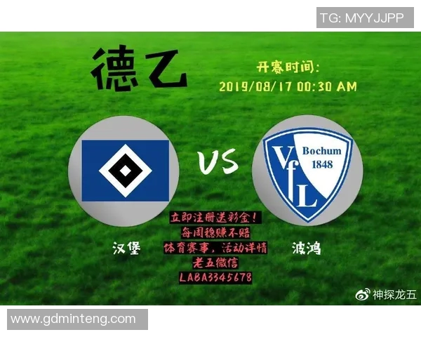 波鸿对阵汉堡的比赛结果分析与比分预测探讨