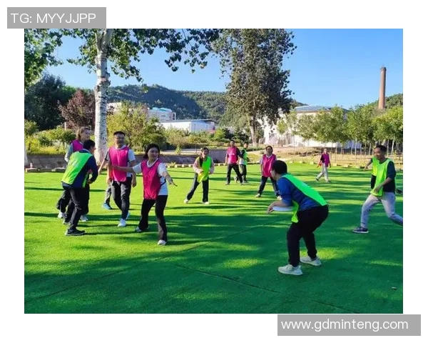 飞盘运动的崛起与发展专访陈敏揭秘成功背后的故事与策略MBA 飞盘运动的崛起与发展专访陈敏揭秘成功背后的故事与策略MBA