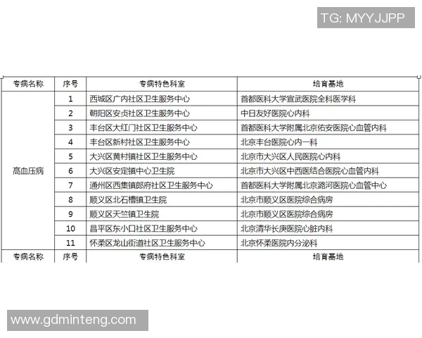 北京极限运动队区域防守分析及其在比赛中的得失表现探讨MBA