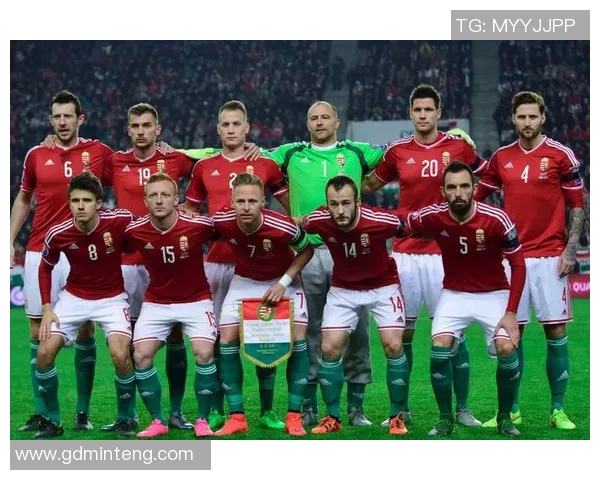 巴西对阵奥地利直播地址及观看指南一览