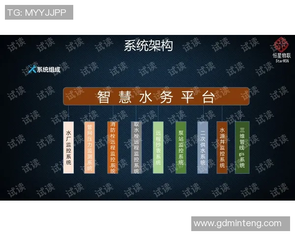 深圳排球队技术探讨：提升团队协作与个人技能的关键策略