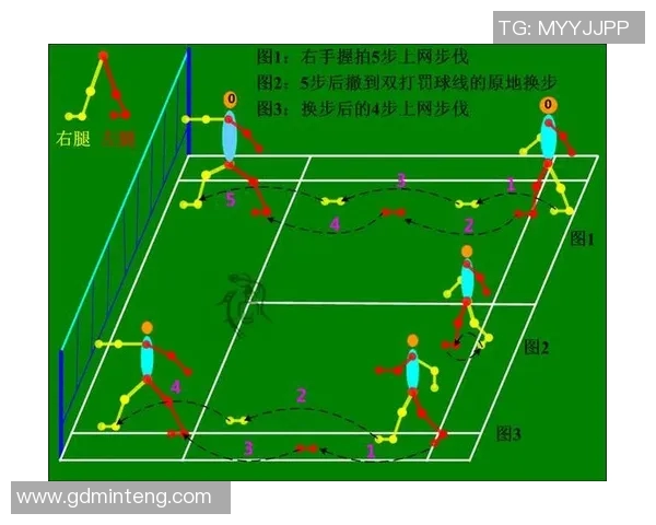 西安羽毛球队反击战术解析与实战应用探讨