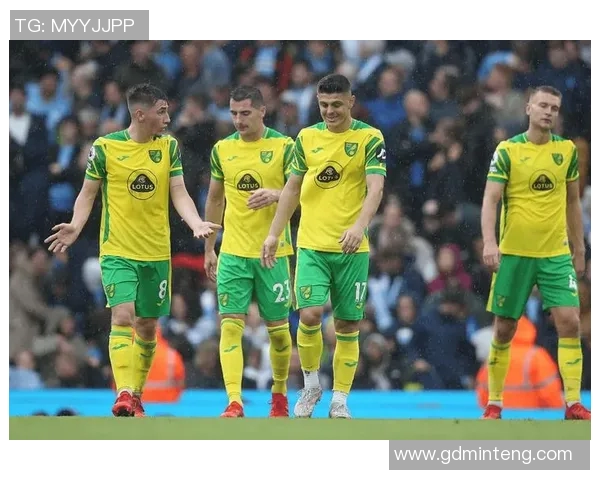 诺维奇与女王巡游的精彩对决比分分析与赛后点评