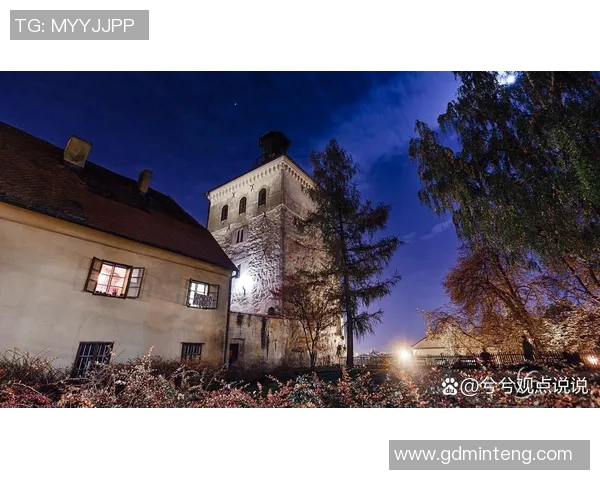 马力克的传奇之路：从草根到巅峰的奋斗与梦想