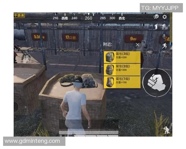 科学和平精英状态训练方法探讨与实践指南