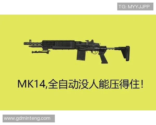 和平精英评论：BLG战队在比赛中的控制能力分析与得失总结