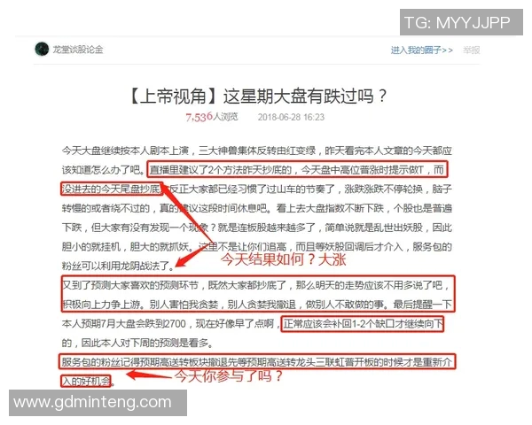 JDG在CSGO比赛中的反击策略分析与成败得失总结