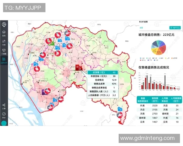 深入分析北京篮球队的运营策略与市场推广模式探讨