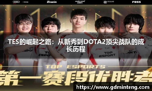 TES的崛起之路：从新秀到DOTA2顶尖战队的成长历程